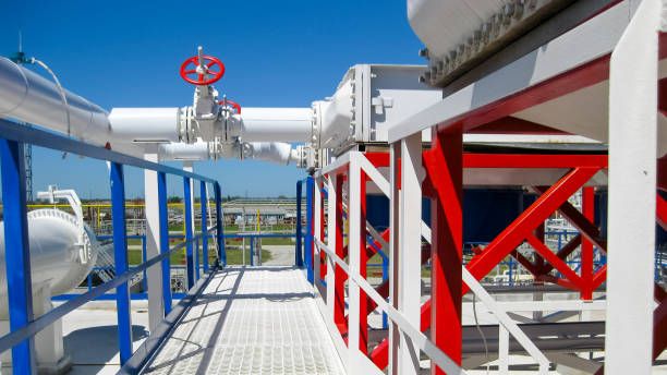 метални пътеки - 37529 вида